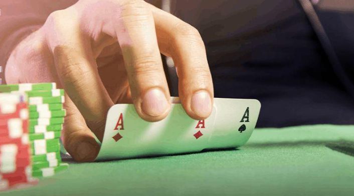 Hiện có những hình thức cá cược nào dành cho các trận đấu đá gà cấp độ Ok22? - Ok22
