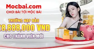 Vui lòng lưu ý những điểm sau trước khi đăng ký tham gia Ok22 - Ok22